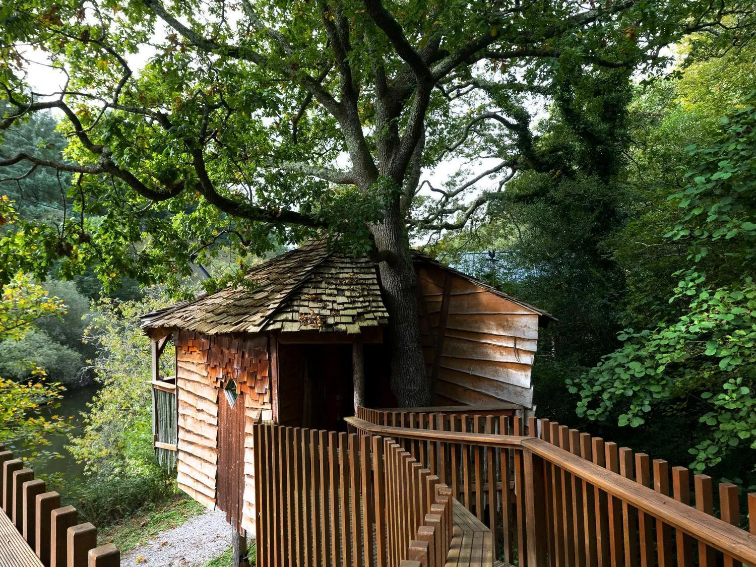 Deerpark Cabins, Cornwall - Forest Holidays Liskeard Ngoại thất bức ảnh